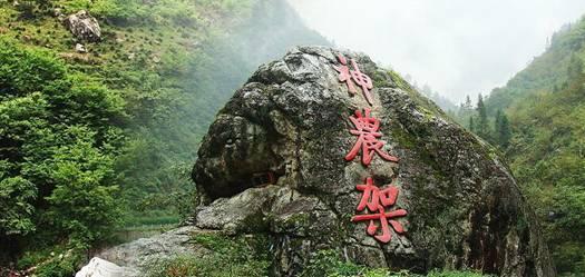 ss是什么意思?红迪网平台-分享、讨论、交流,尽在ss是什么意思?