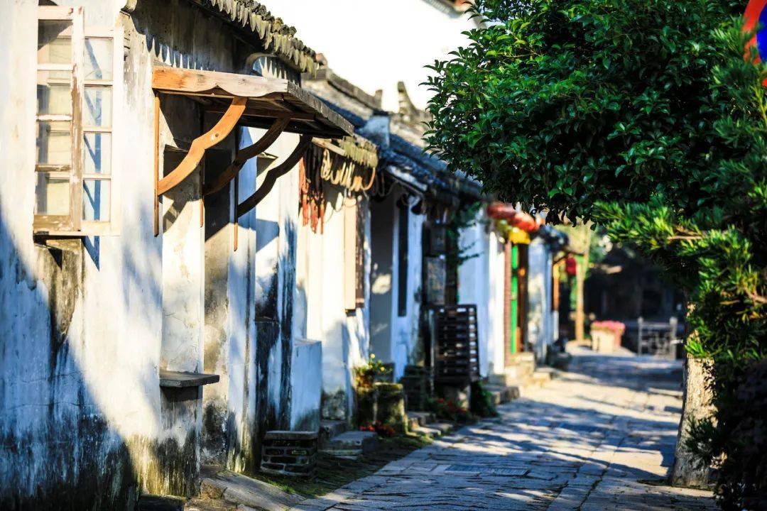 雨血：影之刃