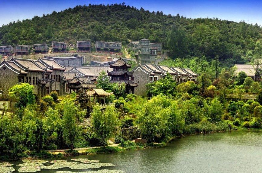 过期淡奶油可以浇花吗-汇集最新、最热的红迪网平台内容